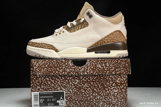 Retro Jordan  CT8532-102 CT8532-102 Palomino  3 0401